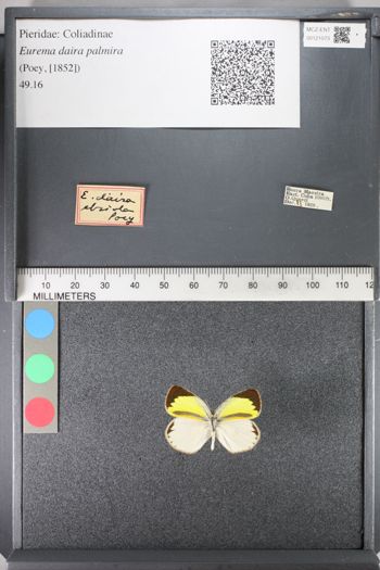 Media type: image;   Entomology 121073